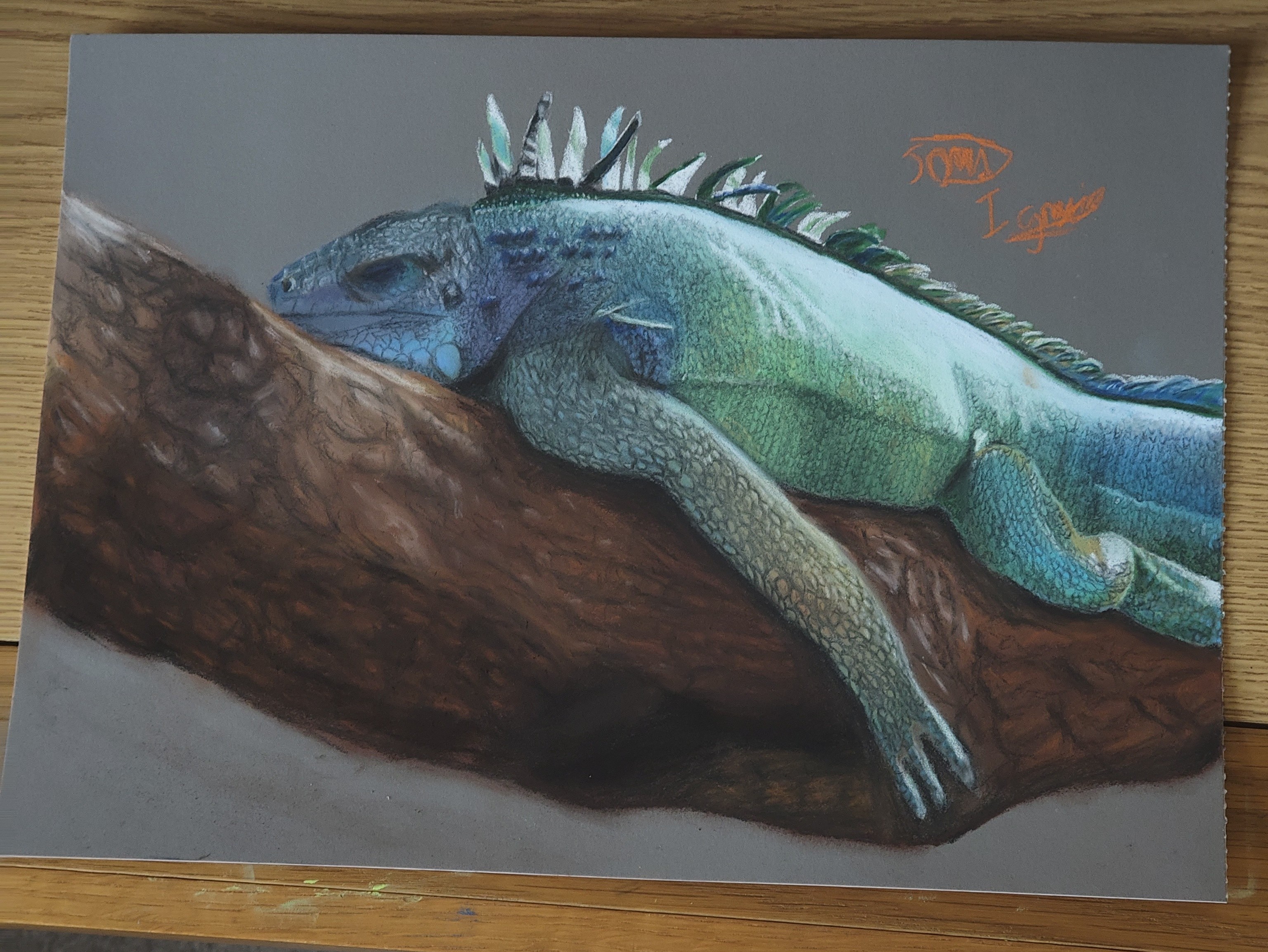 Hyperrealistic coloured pencil artwork